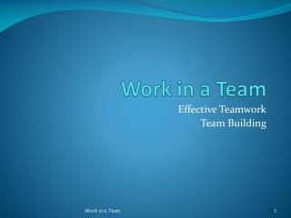 Work in a Team