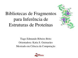 Bibliotecas de Fragmentos para Inferência de Estruturas de Proteínas