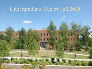 Undergraduate Report Fall 2010