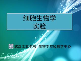 细胞生物学 实验