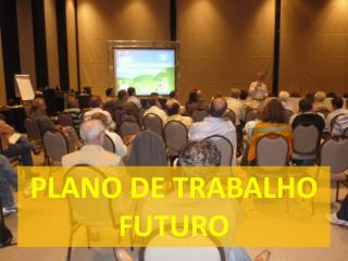 Plano de trabalho futuro