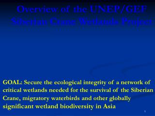 Overview of the UNEP/GEF Siberian Crane Wetlands Project