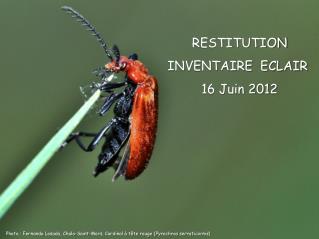 RESTITUTION INVENTAIRE ECLAIR 16 Juin 2012