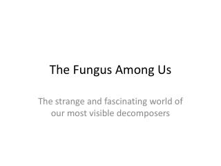 The Fungus Among Us