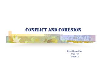 Conflict and Cohesion