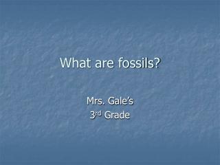 What are fossils?