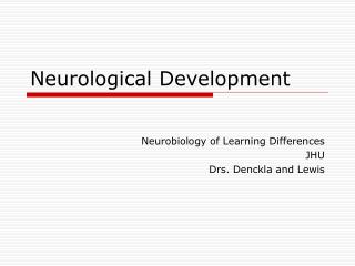 Neurological Development