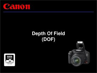 Depth Of Field (DOF)