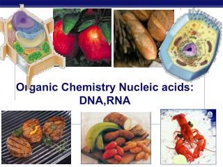 Organic Chemistry Nucleic acids: DNA,RNA