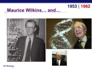 Maurice Wilkins… and…