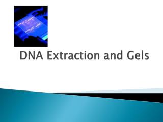 DNA Extraction and Gels
