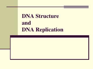 DNA Structure and DNA Replication