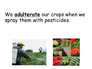 We adulterate our crops when we spray them with pesticides.