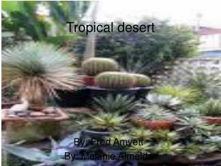 Tropical desert