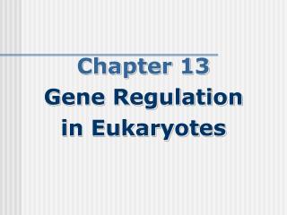 Chapter 13 Gene Regulation in Eukaryotes