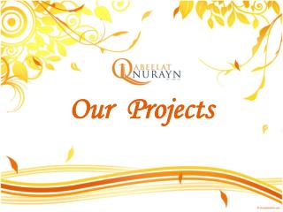 Our Projects