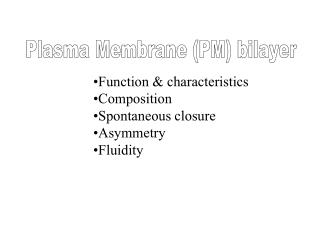 Plasma Membrane (PM) bilayer
