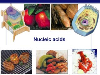 Nucleic acids