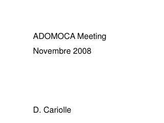 ADOMOCA Meeting Novembre 2008 D. Cariolle
