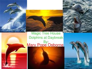 Magic Tree House Dolphins at Daybreak By :
