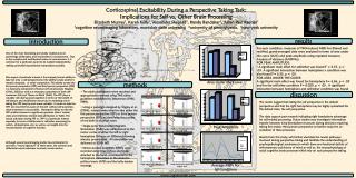 Corticospinal Excitability During a Perspective Taking Task: