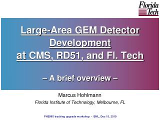 Large-Area GEM Detector Development at CMS, RD51, and Fl. Tech – A brief overview –