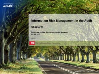 KPMG Information Risk Management (IRM) Audit Team – Overview of IT Controls
