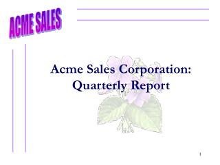 Acme Sales Corporation: Quarterly Report