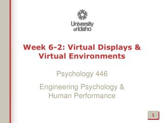 Week 6-2: Virtual Displays &amp; Virtual Environments