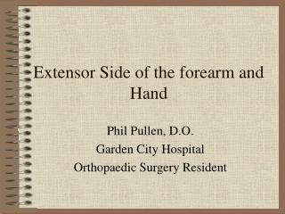 Extensor Side of the forearm and Hand