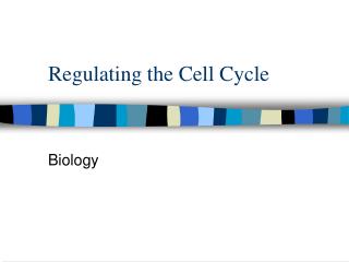 Regulating the Cell Cycle