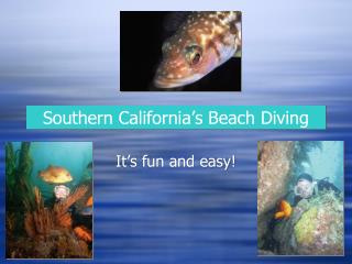 Southern California’s Beach Diving