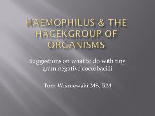 Haemophilus &amp; the HACEKGroup of Organisms