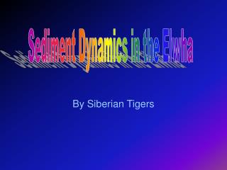 By Siberian Tigers