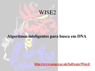 WISE2