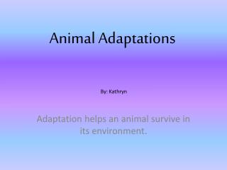 Animal Adaptations