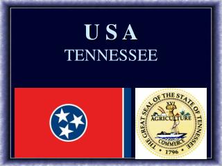 U S A TENNESSEE