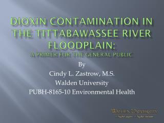 Dioxin contamination in the tittabawassee river floodplain: A primer for the general public