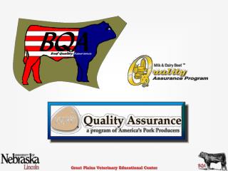 Quality Assurance Programs (QA)