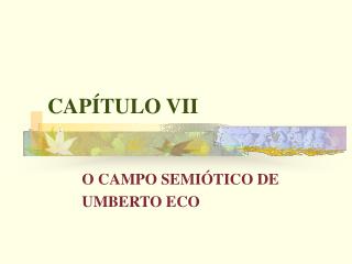 CAPÍTULO VII