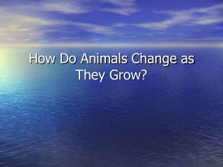 How Do Animals Change as They Grow?