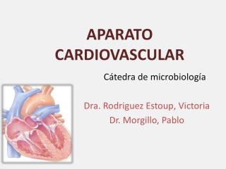 APARATO CARDIOVASCULAR