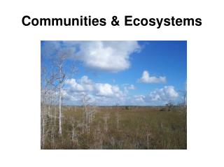 Communities &amp; Ecosystems