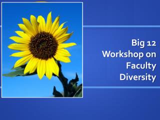 Big 12 Workshop on Faculty Diversity