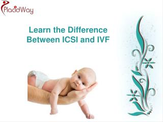 Learn the Difference Between ICSI and IVF