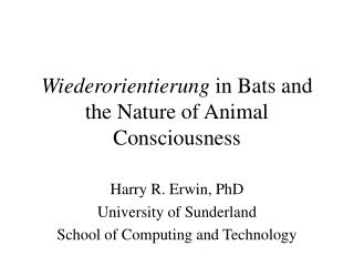 Wiederorientierung in Bats and the Nature of Animal Consciousness