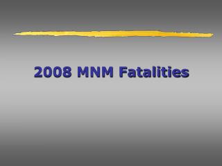 2008 MNM Fatalities