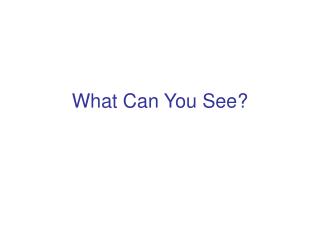 What Can You See?