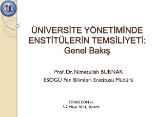 ÜNİVERSİTE YÖNETİMİNDE ENSTİTÜLERİN TEMSİLİYETİ: Genel Bakış