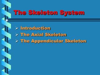 The Skeleton System